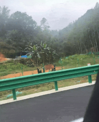 值得好好活着的理由 好消息分享平台 冬奥会中国代表团_冬奥会世界纪录